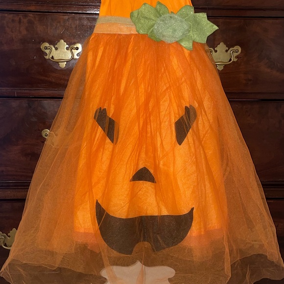 Pottery Barn Pumpkin Costume - Picture 2 of 6